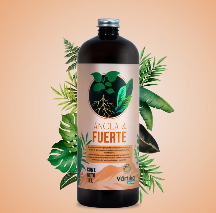 Ancla & Fuerte