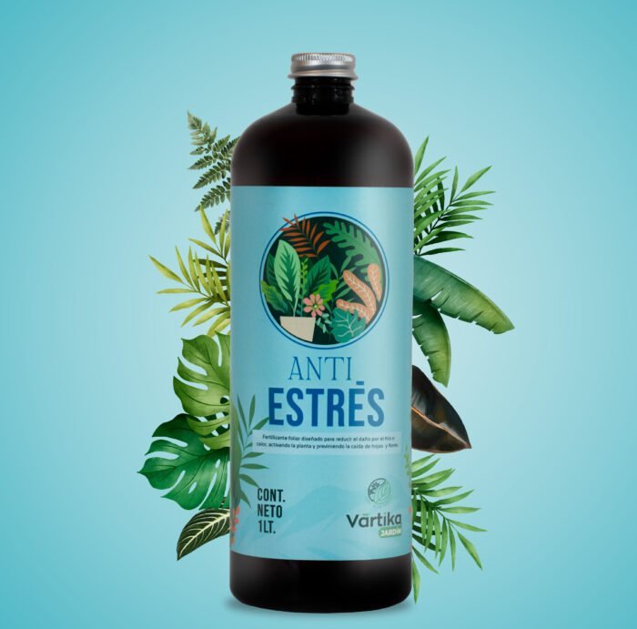 Anti Estrés