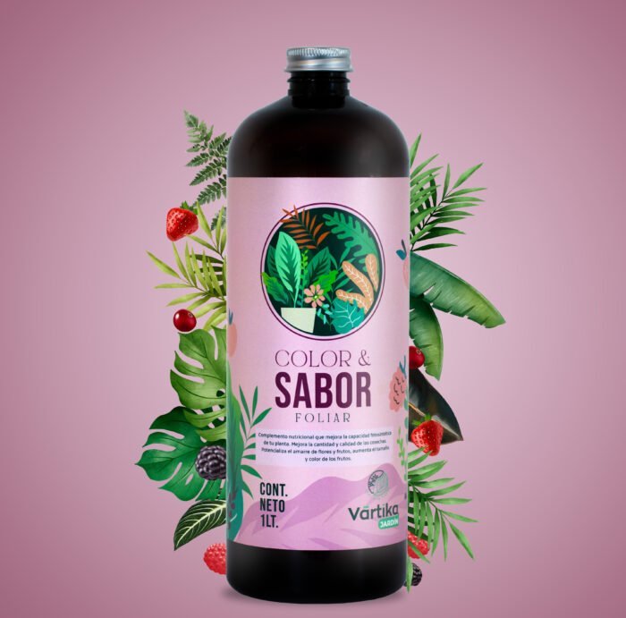 Color & Sabor