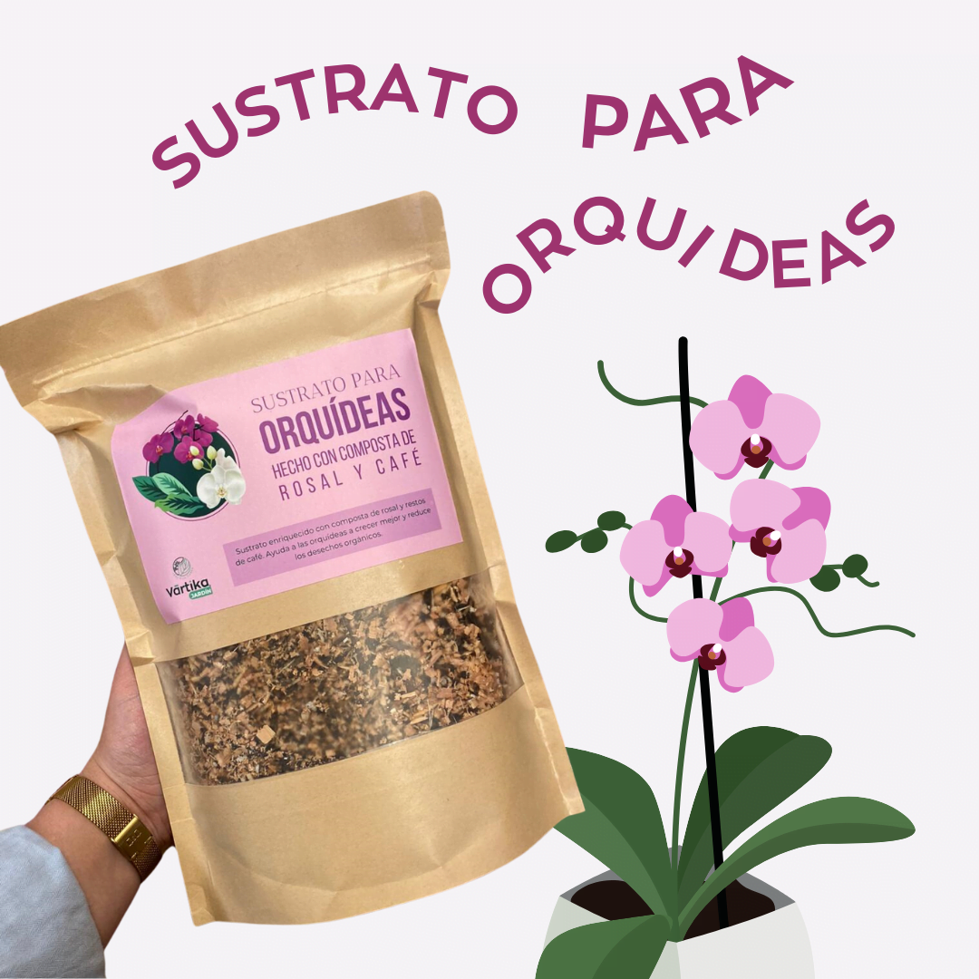 Combo Orquídeas - Image 4