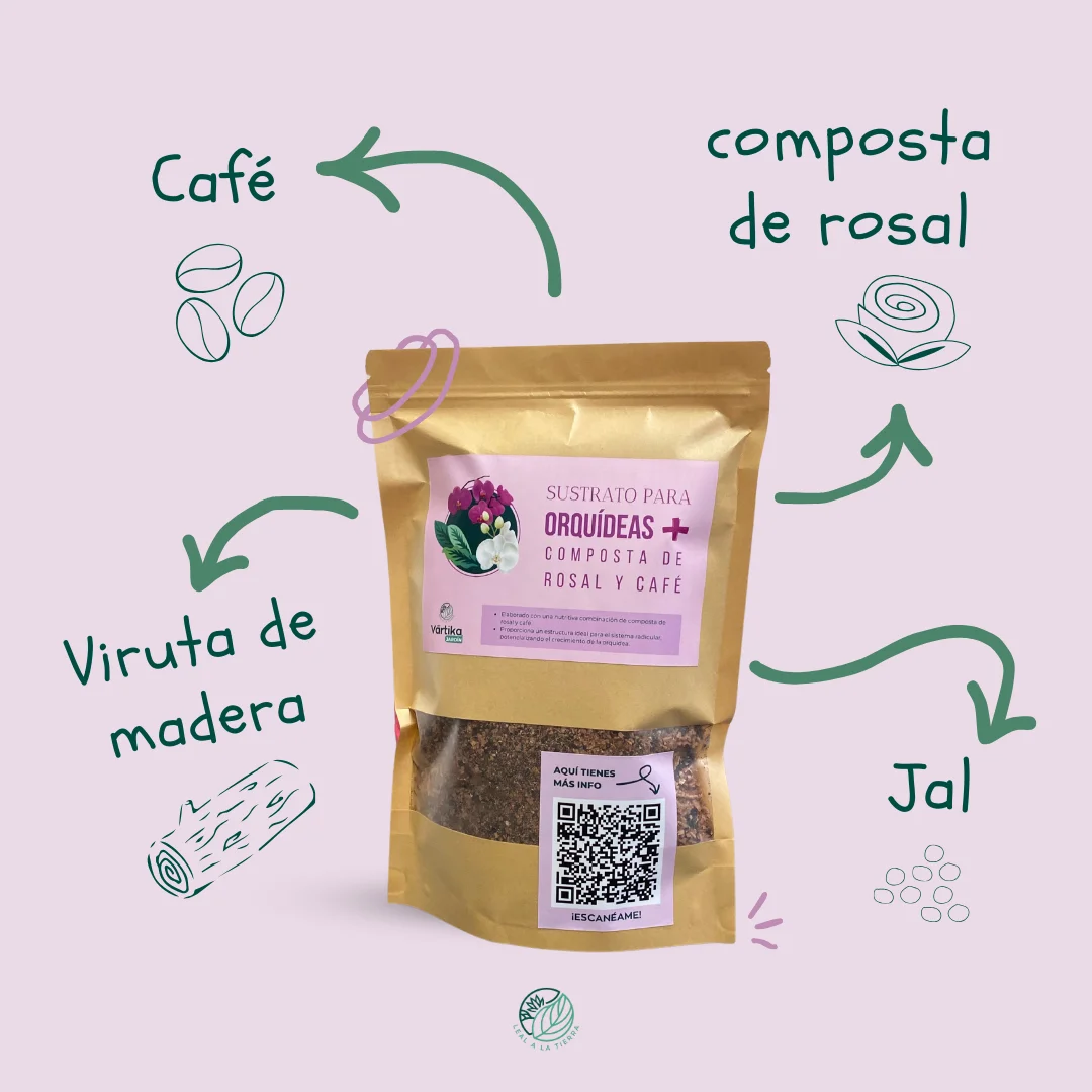 Combo Orquídeas - Image 5